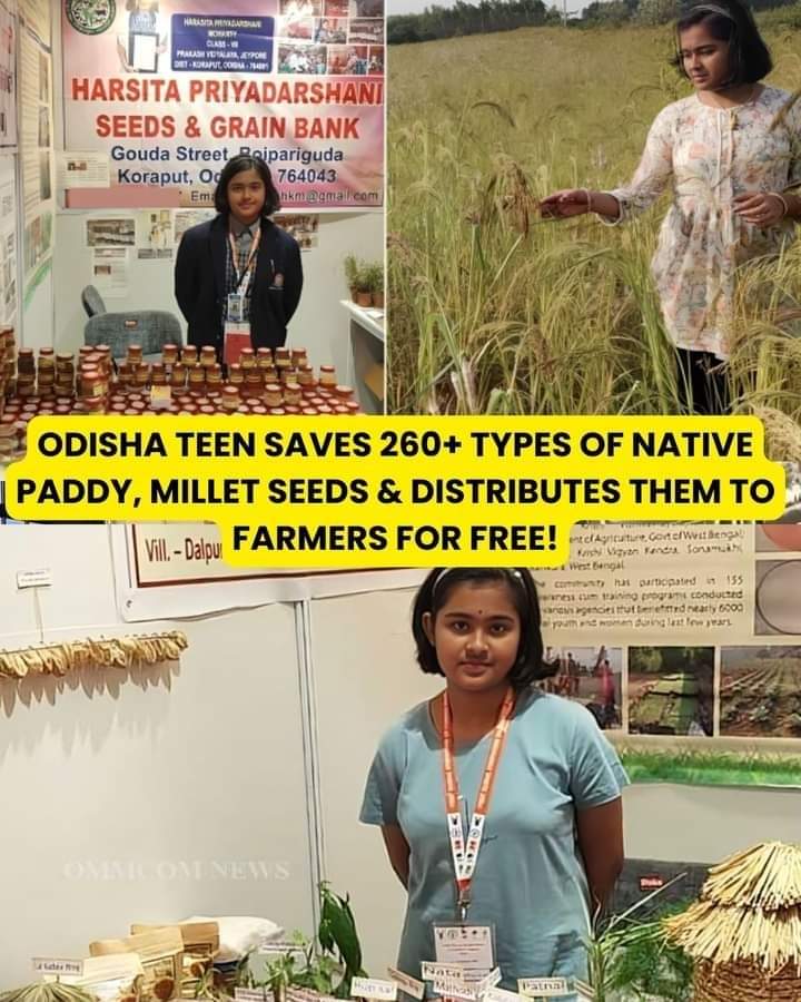 Odisha teen save 260 types of native paddy and millet seeds.